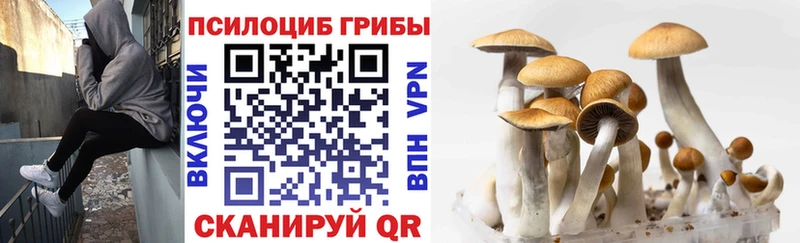 Галлюциногенные грибы ЛСД  Купить где  Мариинск 