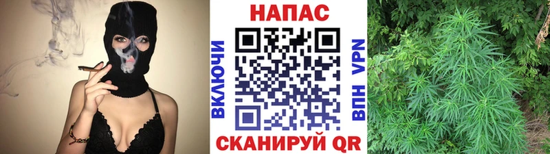 Шишки марихуана White Widow  Купить где  Мариинск 